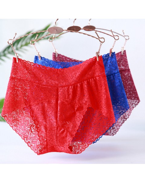 Women Plus Size Panties - 6 Nude