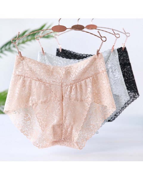 Women Plus Size Panties - 6 Nude