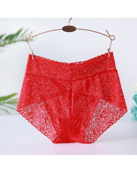 Women Plus Size Panties - 6 Nude