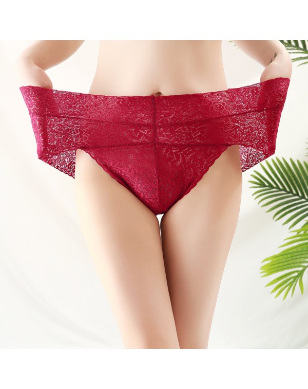 Women Plus Size Panties - 6 Nude