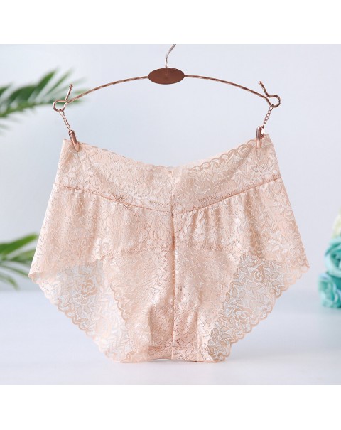 Women Plus Size Panties - 6 Nude